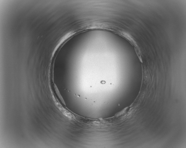 X0000061721138200512161548