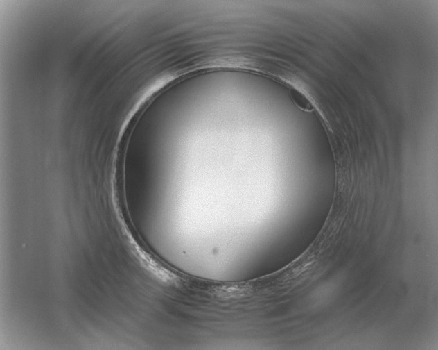 X0000061721139200512161548