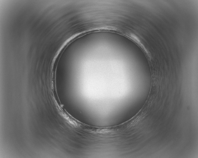 X0000061721140200512161548