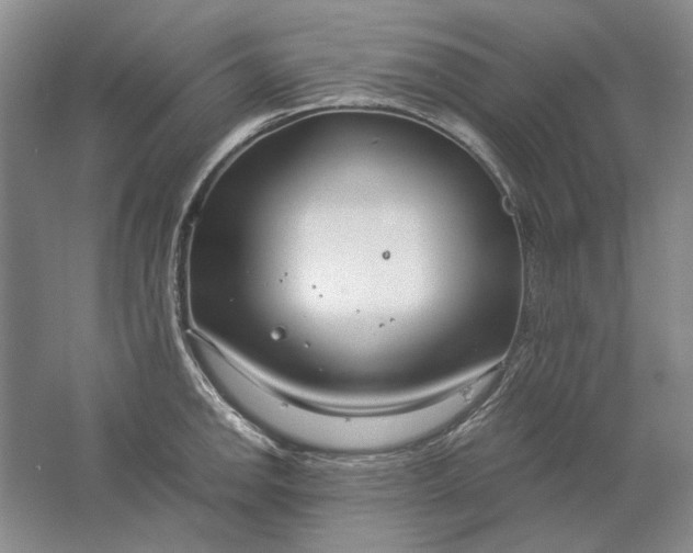 X0000061721142200512161548