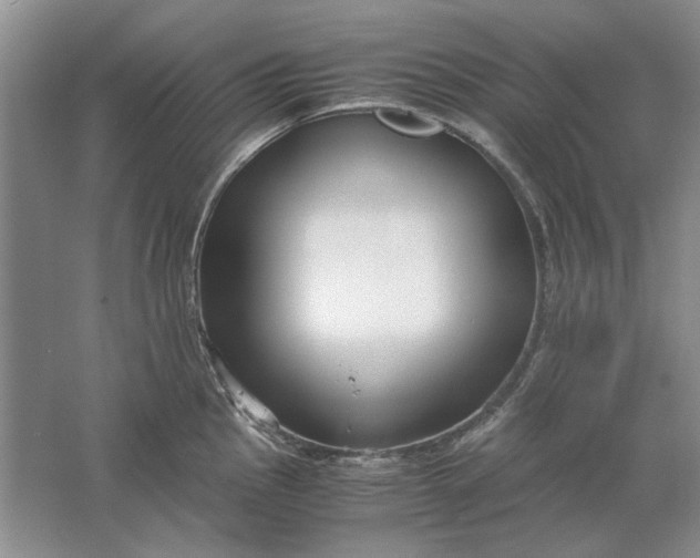 X0000061721145200512161548