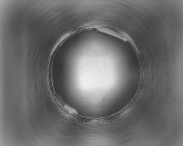 X0000061721146200512161548