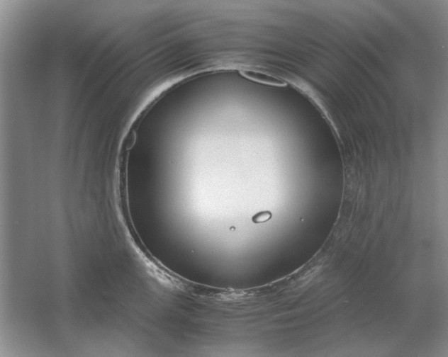 X0000061721147200512161548