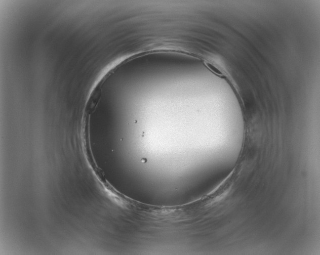 X0000061721149200512161548