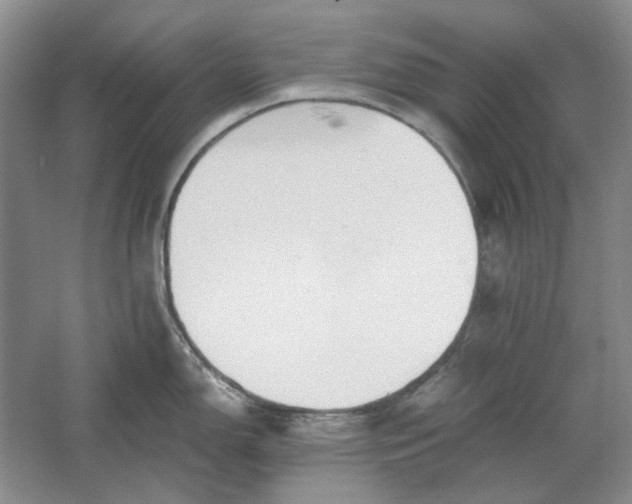 X0000061721150200512161548