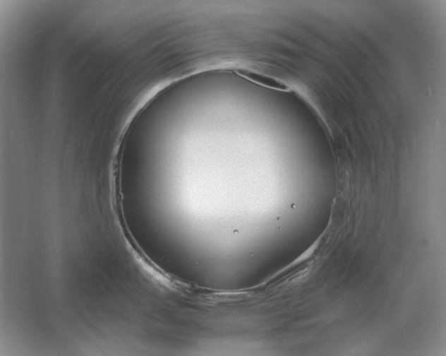 X0000061721151200512161548