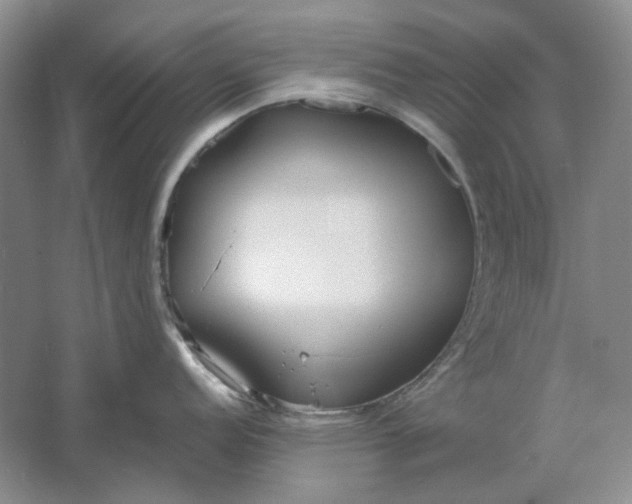 X0000061721152200512161548