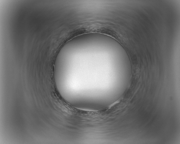 X0000061721153200512161548