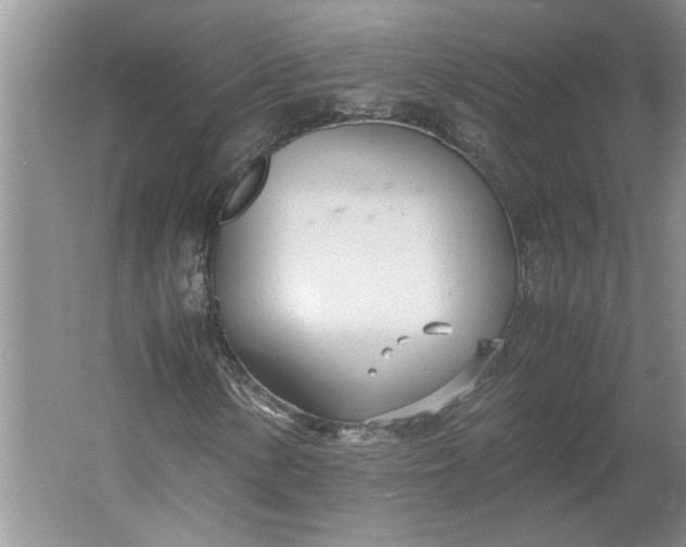 X0000061721154200512161547