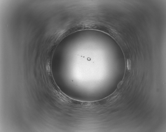 X0000061721155200512161547