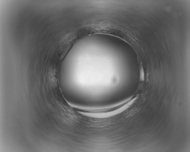 X0000061721156200512161547