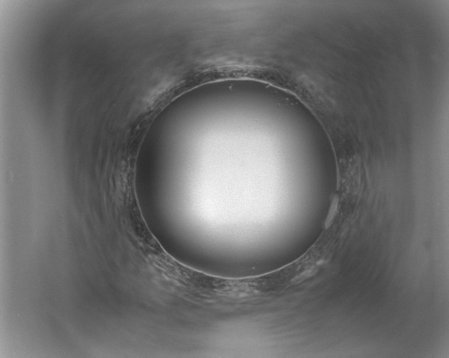 X0000061721157200512161547