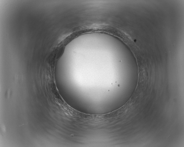 X0000061721158200512161547