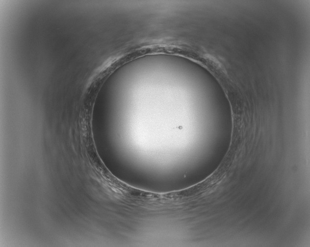 X0000061721159200512161547