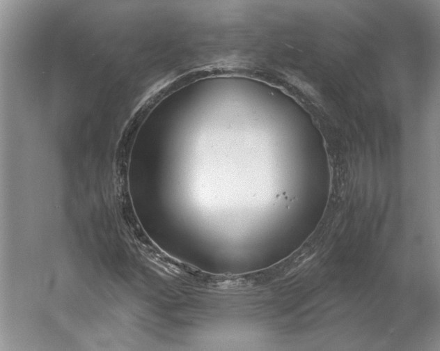 X0000061721160200512161547