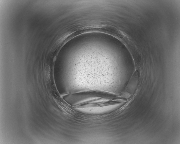 X0000061721161200512161547