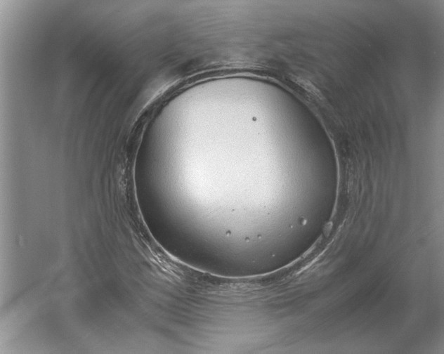 X0000061721163200512161547