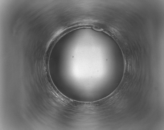 X0000061721164200512161547