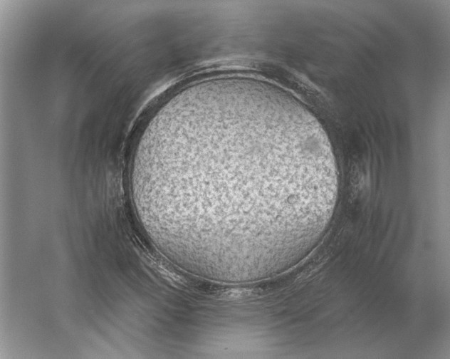 X0000061721166200512161547