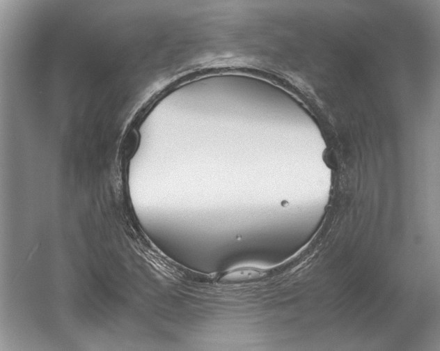 X0000061721167200512161547