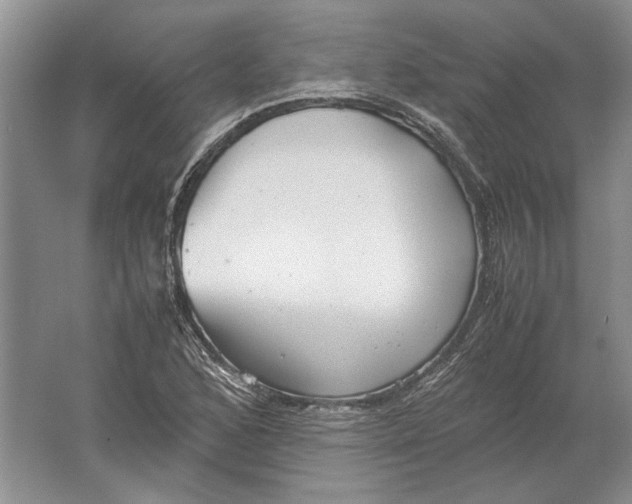 X0000061721168200512161547