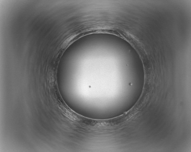 X0000061721169200512161547