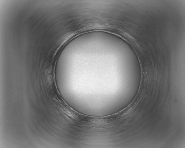 X0000061721170200512161547