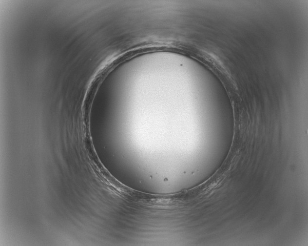 X0000061721172200512161547