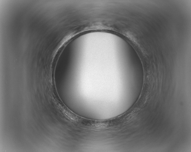 X0000061721173200512161547