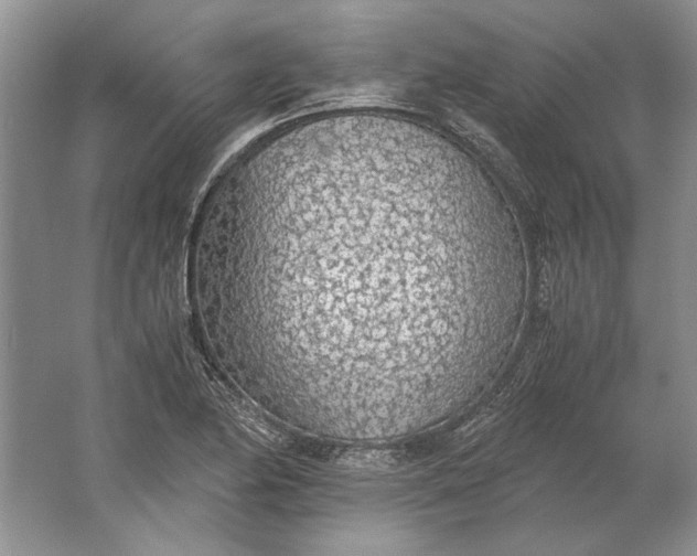 X0000061721174200512161547