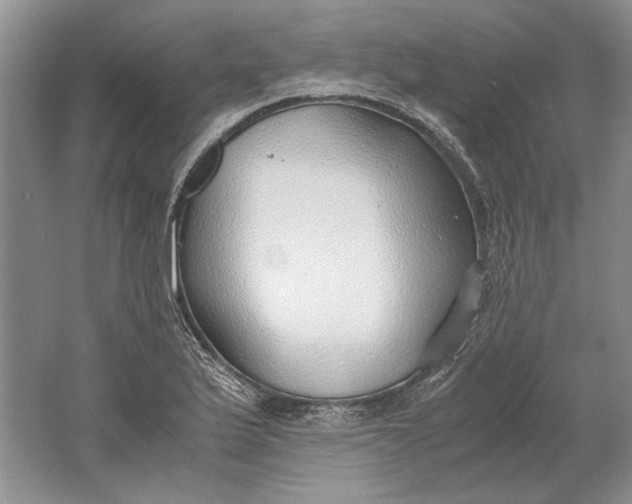 X0000061721175200512161547