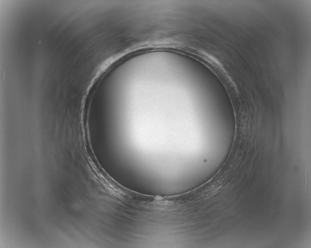 X0000061721176200512161547