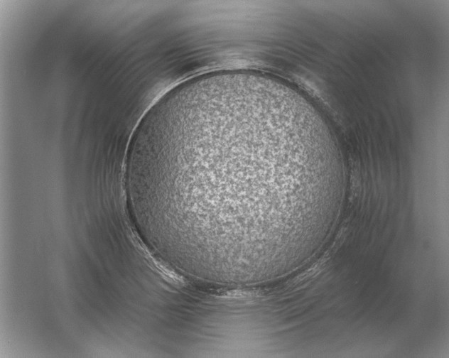 X0000061721178200512161547