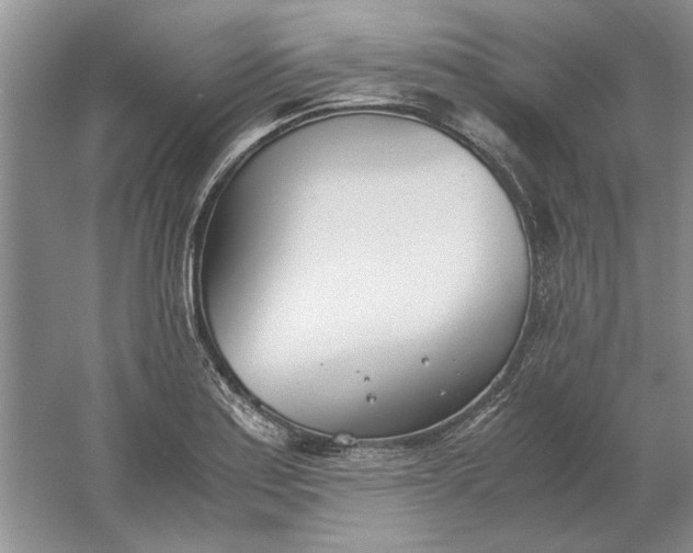 X0000061721179200512161547