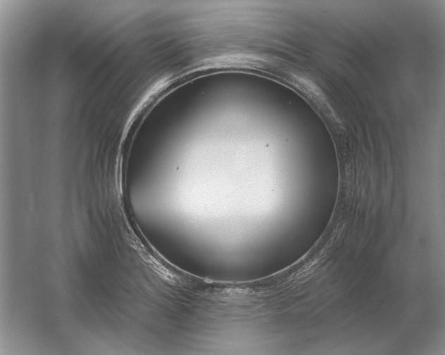 X0000061721180200512161547