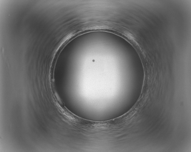 X0000061721181200512161547