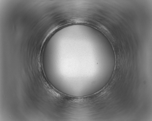 X0000061721182200512161547