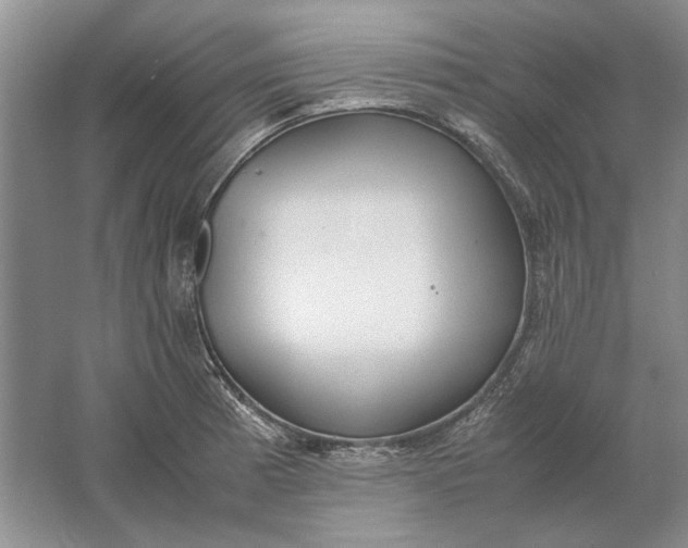 X0000061721185200512161547