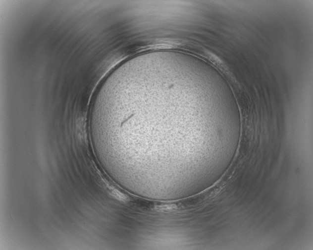 X0000061721186200512161547