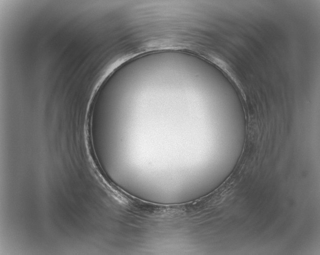 X0000061721187200512161547