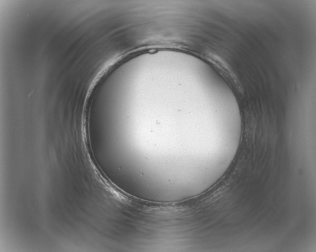 X0000061721188200512161547