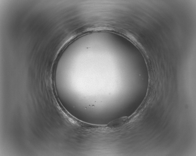 X0000061721189200512161547