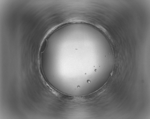 X0000061721191200512161547