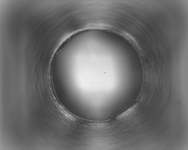 X0000061721192200512161547