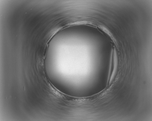 X0000061721193200512161547