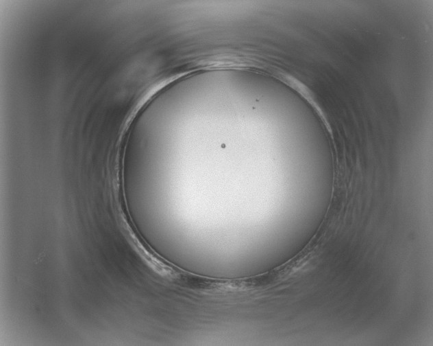 X0000061721195200512161547