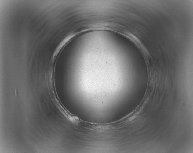 X0000061721196200512161547