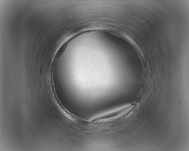 X0000061721197200512161547