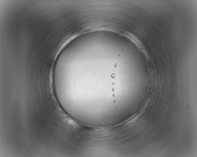 X0000061721198200512161547