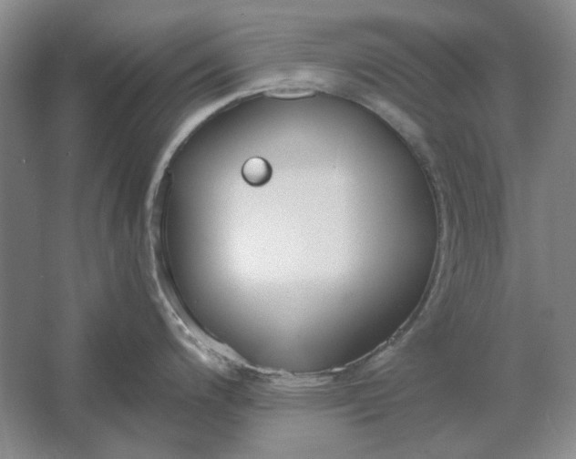 X0000061721200200512161547